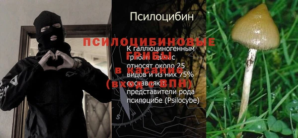 кокс Абаза